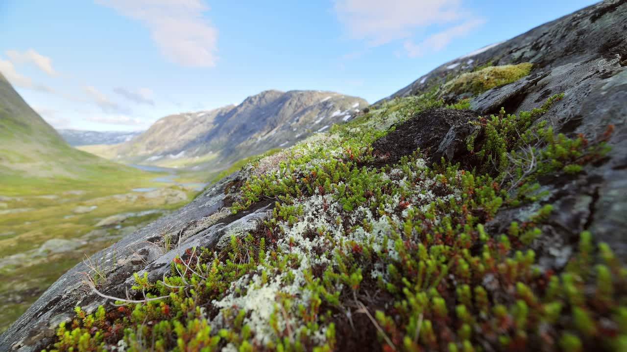 Arctic Tundra. Beautiful Nature Norway natural landscape.