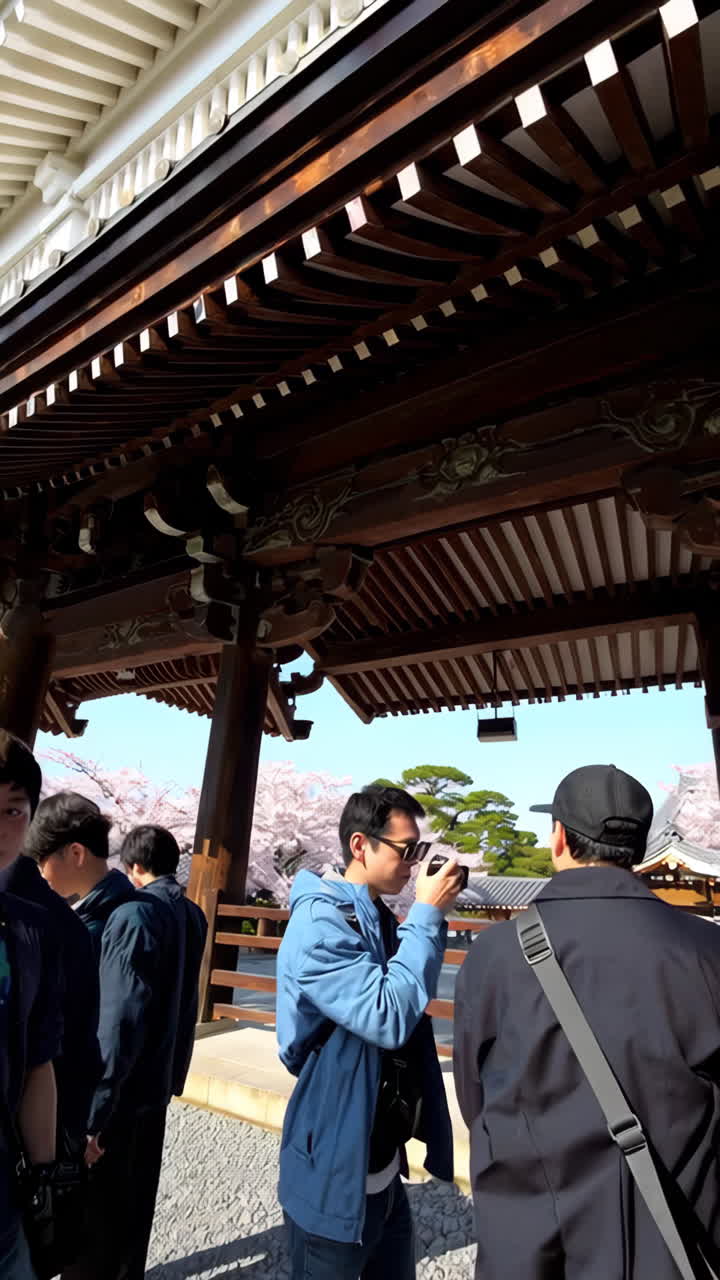 Japanese Temple, Cherry Blossoms, and Tourists