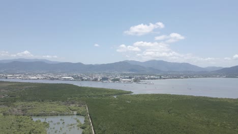 Vegetación-Densa-En-La-Reserva-Forestal-Trinity-Con-Vistas-A-La-Ciudad-De-Cairns-En-Qld,-Australia