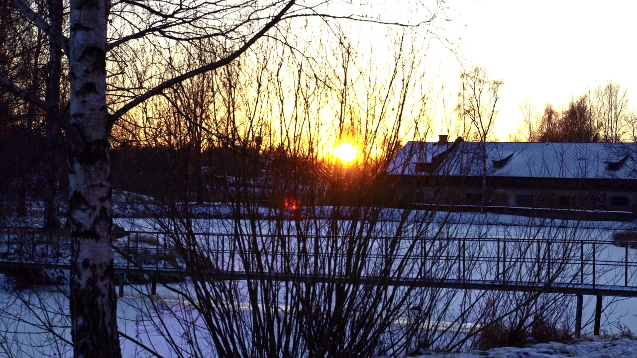 Klar solnedgang bag bladløse træer en kold vinteraften på landet.