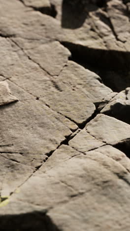 close-up of cracked rock surface