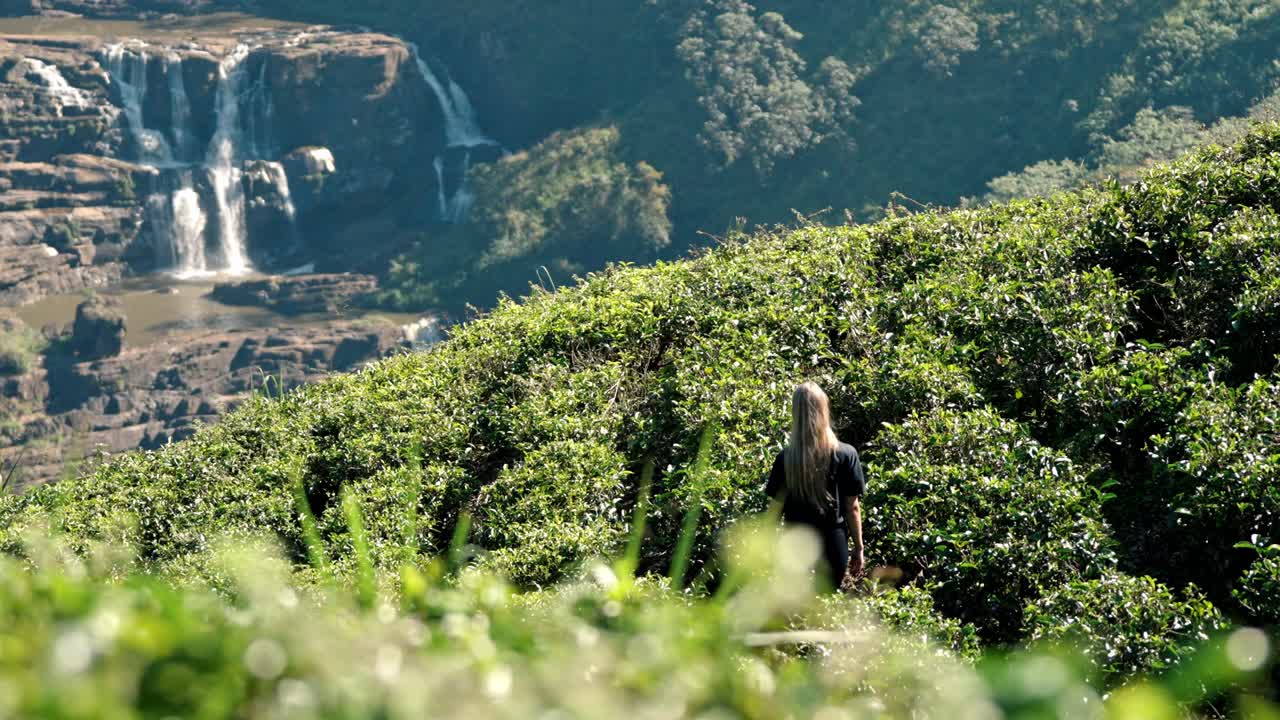 Footage of a woman walking through lush tea plantations at Saint Clair’s Falls in Nuwara Eliya, Sri Lanka.