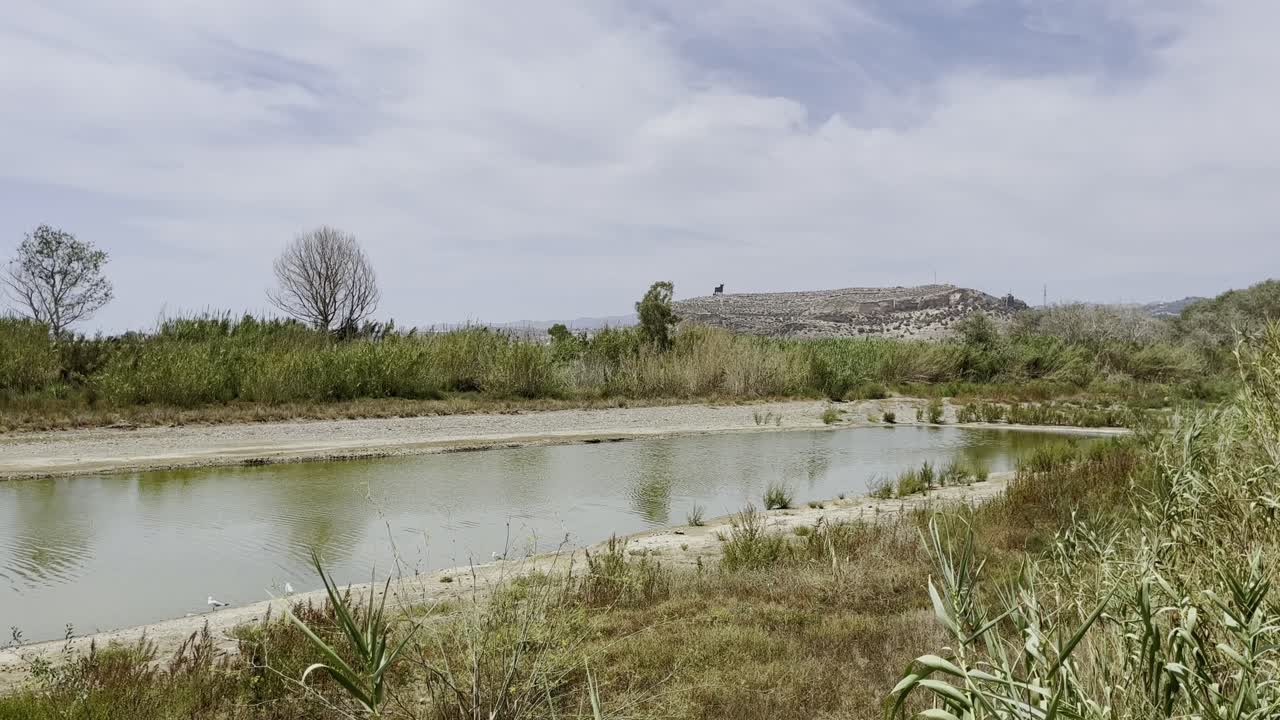 pequeño lago en una reserva natural cerca de málaga