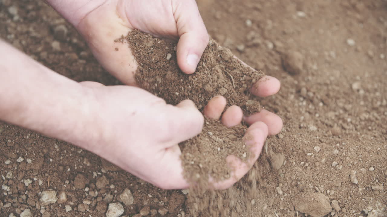 Agricoltore che esamina il terreno nelle mani, campo 1