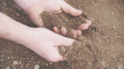 farmer examining soil in hands field 1