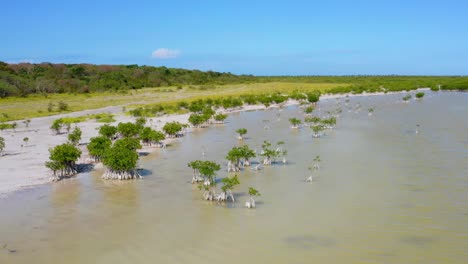 aerial circling over banks of oviedo dominican lagoon, pedernales