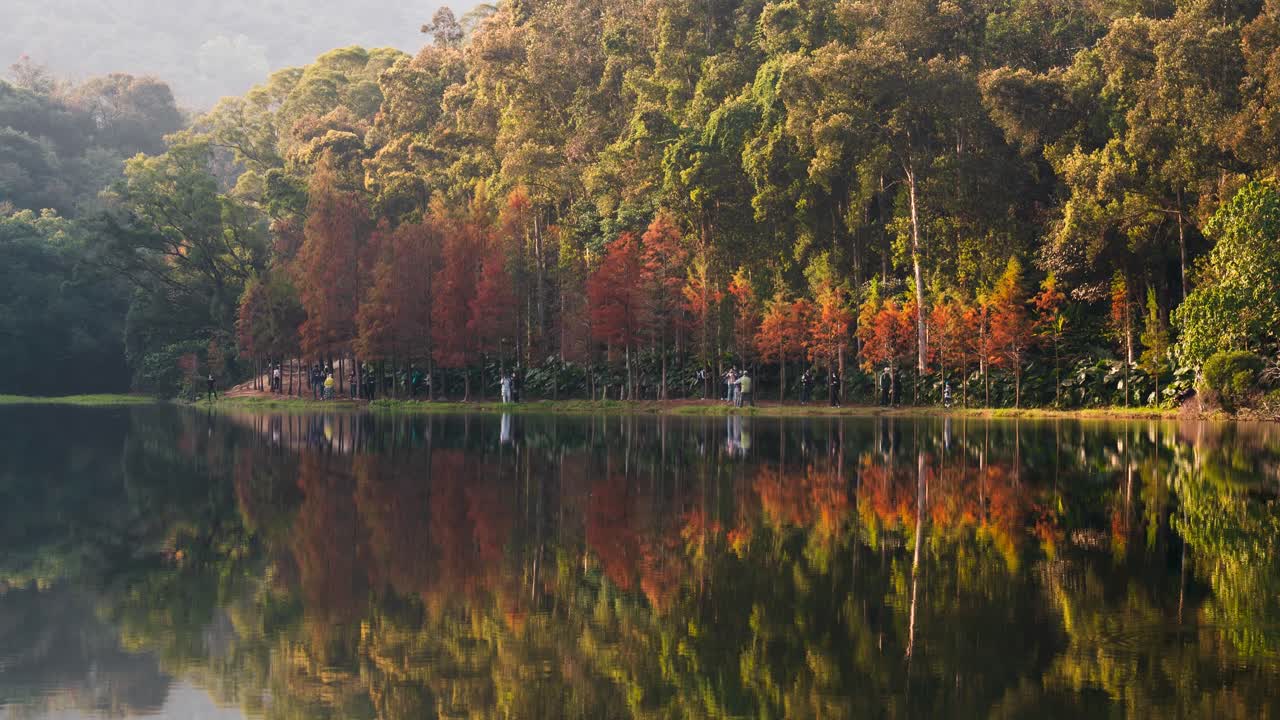 lapso de tiempo de personas que visitan la costa del estanque del embalse lau shui heung entre un bosque de otoño en un día nublado, hong kong, china