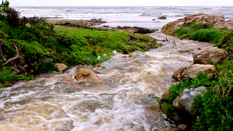 fresh rainwater surface runoff from storm drain flowing into ocean