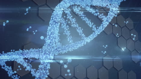 animación digital de la estructura del adn girando contra formas hexagonales sobre fondo azul