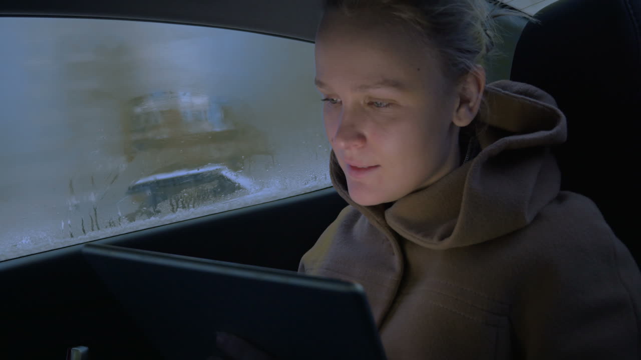 자동차 여행 중 패드와 함께 좋은 시간을 보내는 것