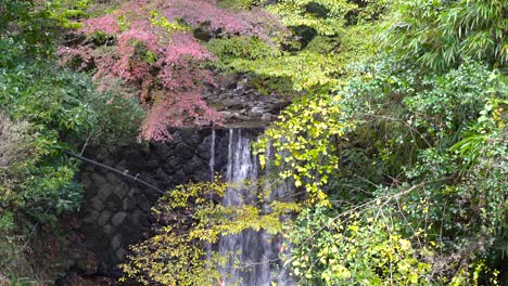 locked off view of beautiful waterfall framed by autumn leaves in japan