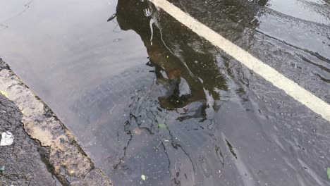 Vista-Del-Drenaje-De-Obstrucción,-La-Basura-Bloquea-La-Causa-Del-Agua-De-La-Inundación