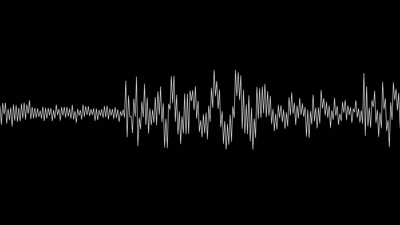 A simple black and white audio visualization effect-24