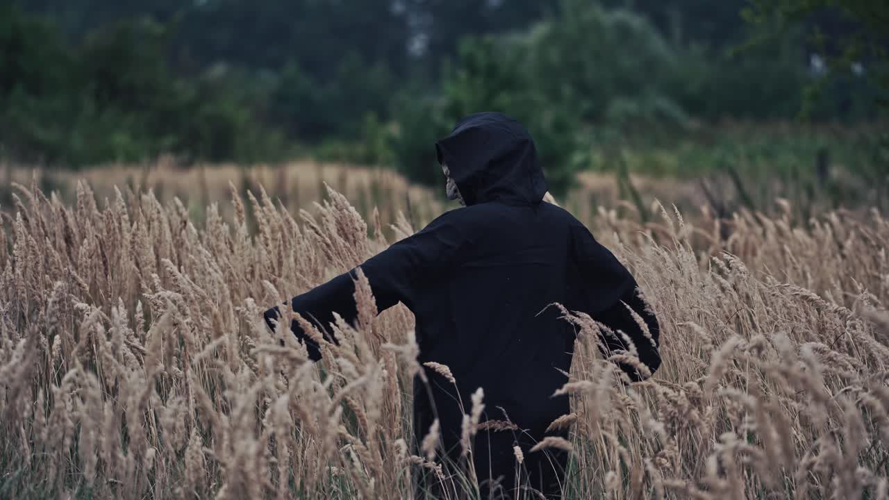 Scary black figure on a wheat field. Terrible ghost in dark mantle with hood looking at camera and turning around on nature evening background. Horror concept.