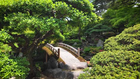 A-wooden-bridge-and-vegetation-inside-a-Japanese-garden-in-Kyoto,-Japan