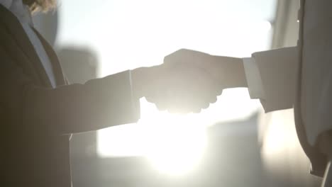 people wearing suits shaking hands against sunbeams