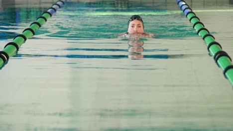 nadador en forma haciendo el golpe de pecho en la piscina