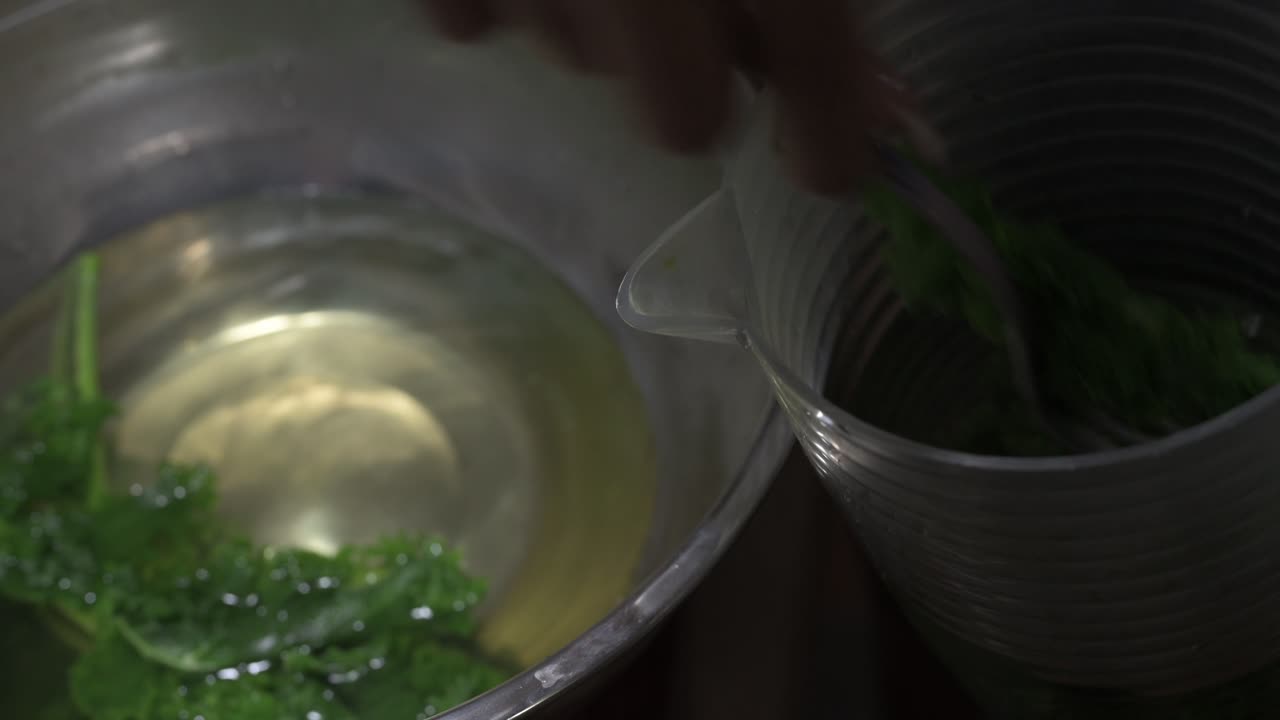 Kale moved to container after being washed close-up shot