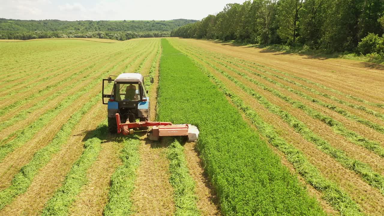 Tractor mowing down green grass on the field. Agricultural process of preparing fodder for livestock in countryside in summer day.