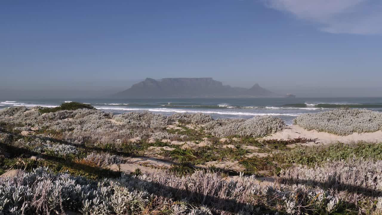 arbustos de playa de arena verde plateada con vista a la montaña de la mesa de ciudad del cabo