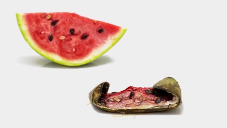 piece of ripe watermelon rotting on white background, slow motion, educational cognitive video, time inversion loop video