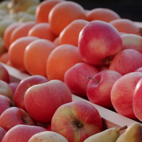 counter with seasonal fruit at the farmers market 2