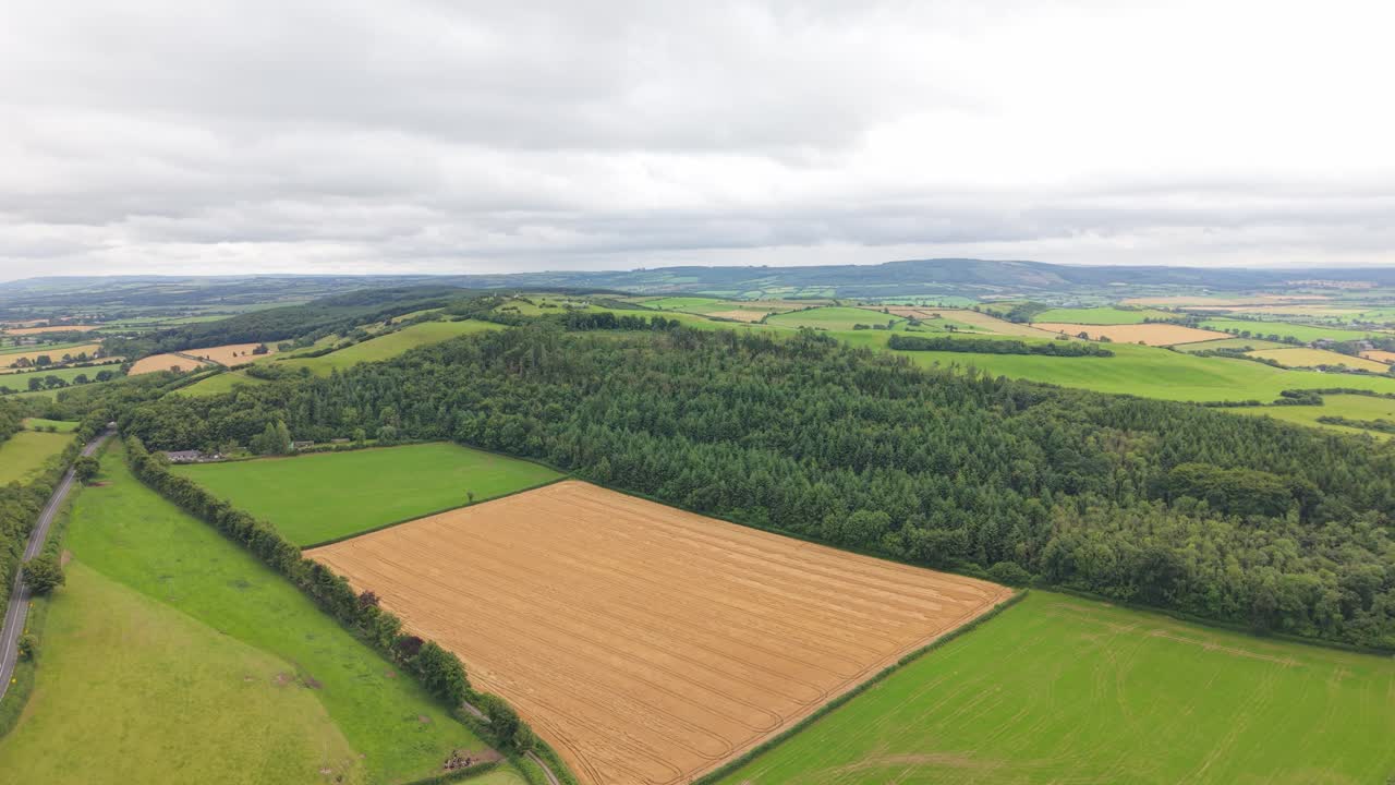 Aerial View of Patchwork Green Fields and Woodlands in County Laois, Ireland