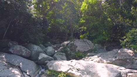 A-drone-flies-through-forest-in-Santa-Marta,-Colombia,-stones-and-trees-during-the-day