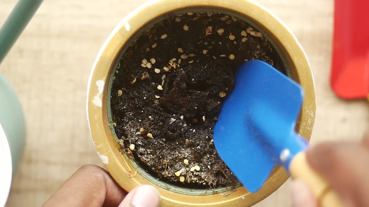 plantar semillas en una olla