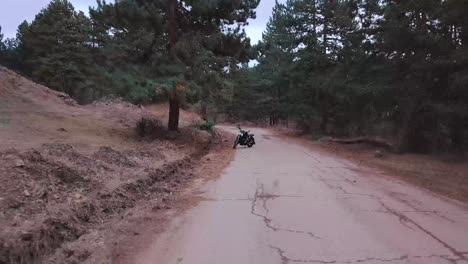 bicicleta en el bosque en la carretera