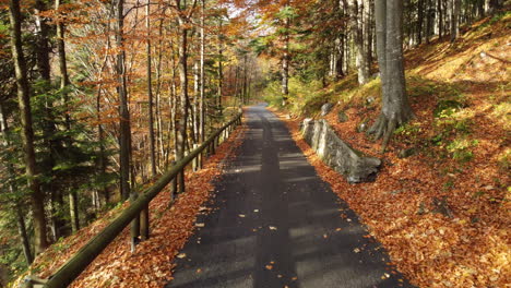 Autumn-road-in-mountain-forest,-yellow-and-red-foliage-trees