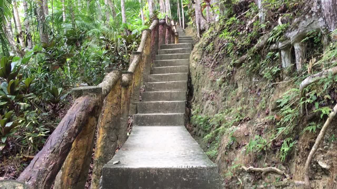 필리핀 보홀섬의 거대한 계단
