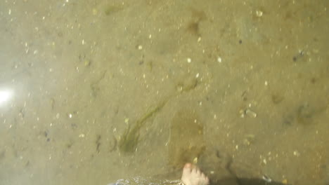 feet walking in sea water