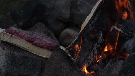 steak being cooked on a piece of fire wood next to a camp fire