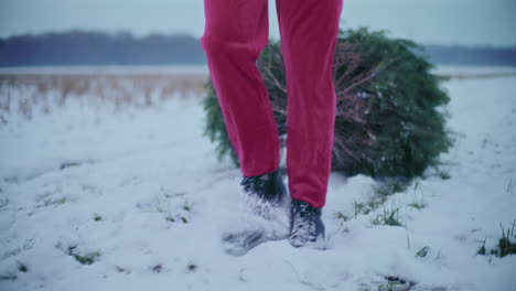 man pulling christmas tree in sled on snow covered landscape