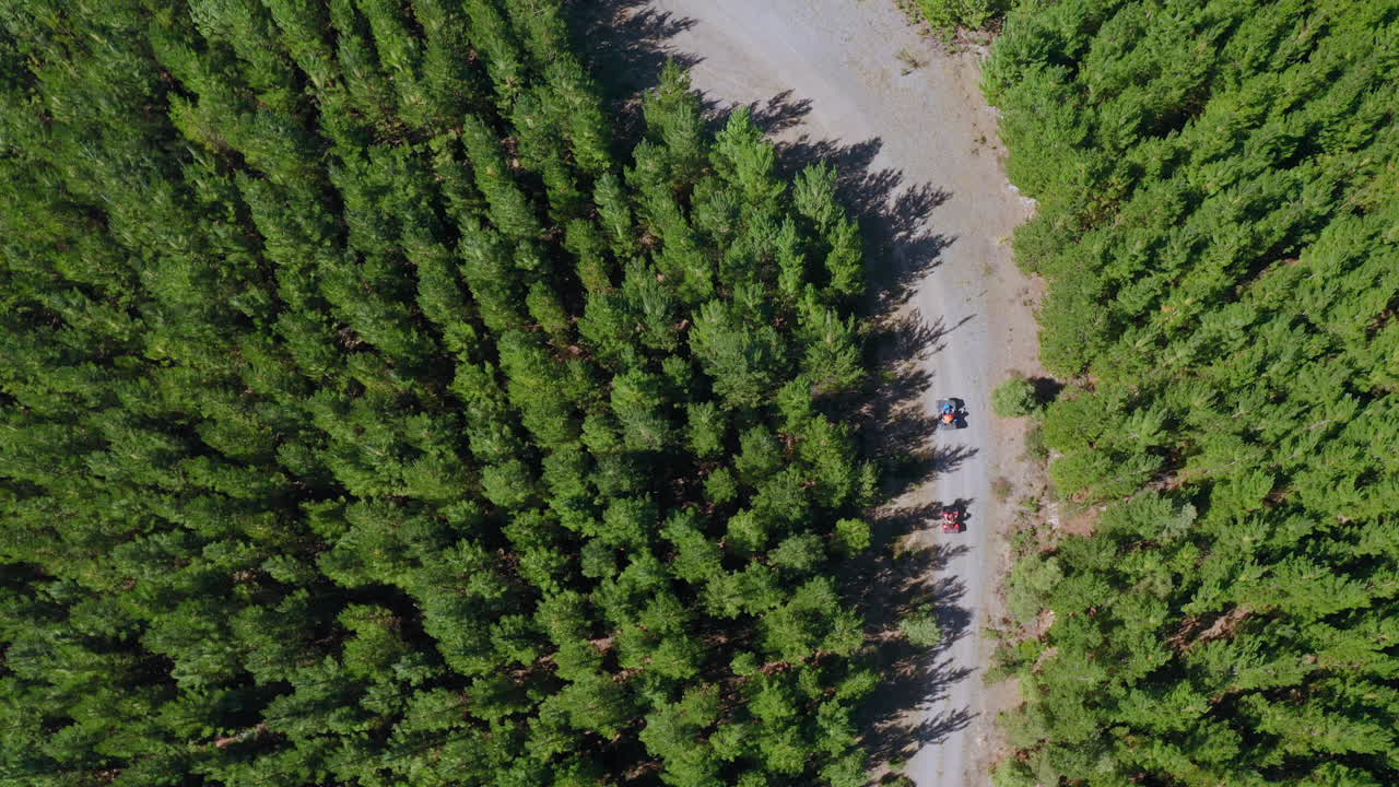 vista aérea sobre quads conduciendo en un camino forestal de tierra, día soleado, en australia - de arriba hacia abajo, disparo de drones