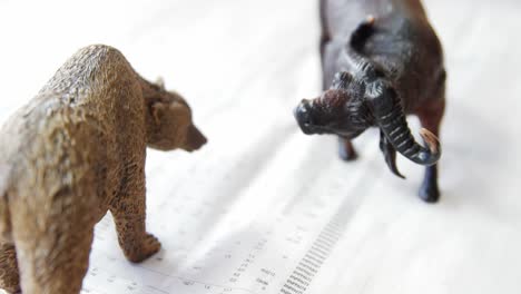 miniature bear and charging buffalo