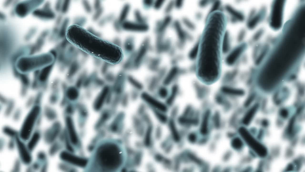 células de bacterias generadas digitalmente que fluyen contra un fondo blanco