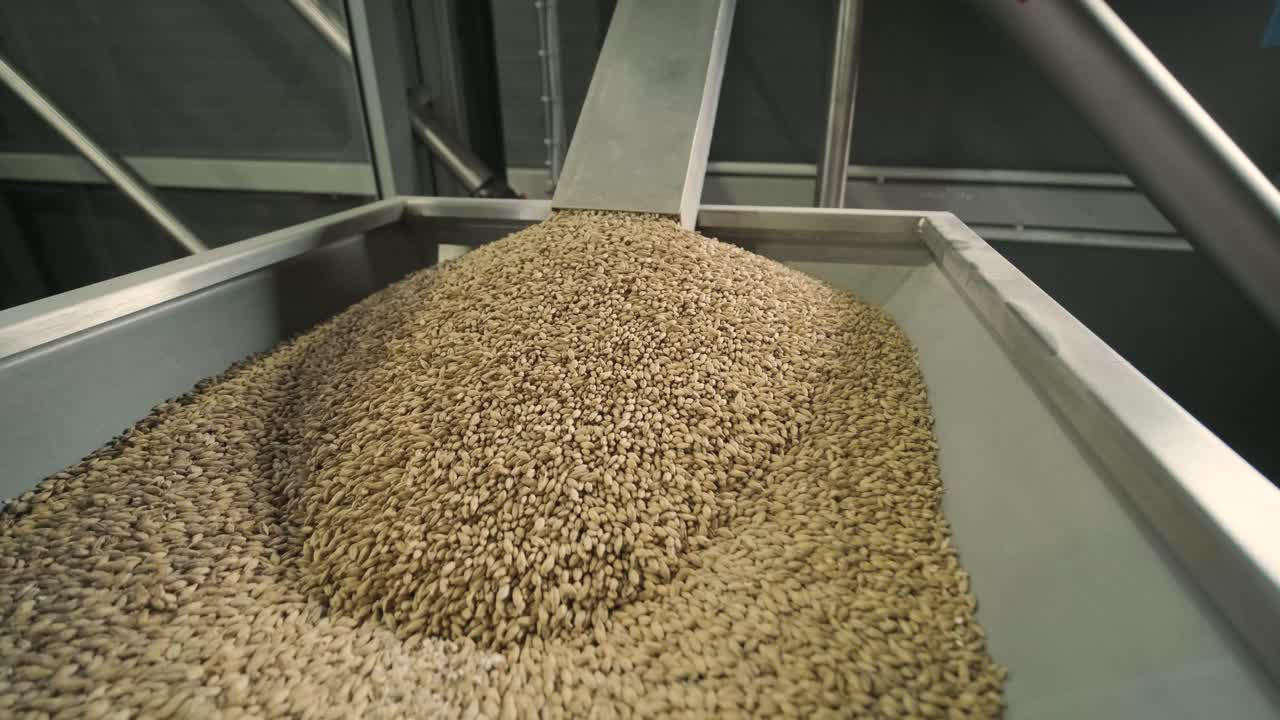 현대적 인 공예 맥주 양조장. 맥주 생산을 위한 몰트. 공예 맥주의 양조. 양조장에서의 현대적인 장비.