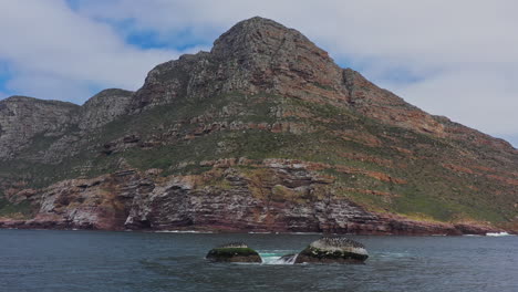 Cabo-De-Buena-Esperanza-Toma-Aérea-Con-Cormoranes