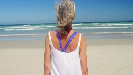 vista trasera de una mujer mayor caminando por la playa