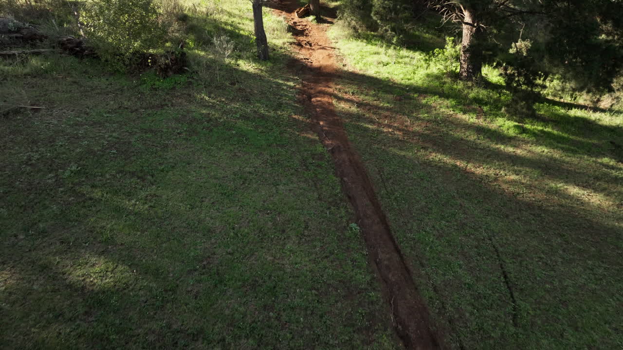 ciclistas de montaña montando un sendero de tierra en el bosque