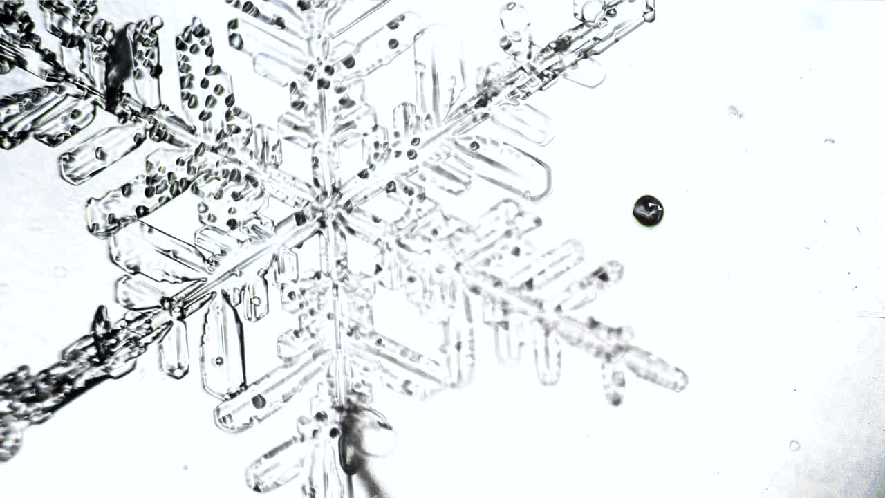 Abstract background from snowflake crystal that appears from blurred image Rack focus