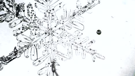 abstract background from snowflake crystal that appears from blurred image rack focus