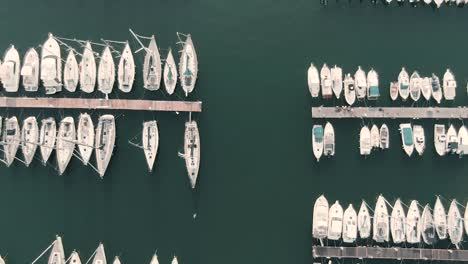 Seagull-Flying-Over-The-Sailboats-Moored-At-The-Marina-By-The-Calm-Blue-Sea-In-Genoa,-Italy