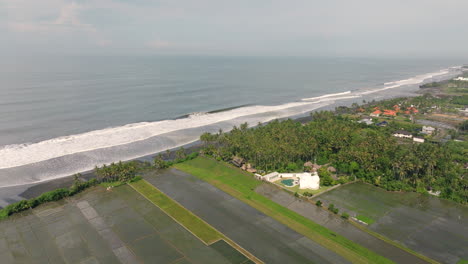 rice field along coast, bali in indonesia