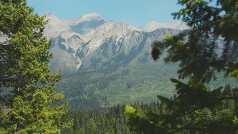 A-stunning-cinematic-shot-of-the-mountains-and-forest-of-Yoho-National-Park,-hiking-in-Canada-on-a-clear-blue-summer-daytime