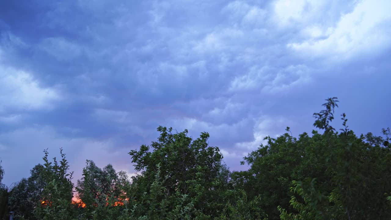Green trees under the the cloudy sky. Top of trees are moving by the strong wind on the background of blue sky at sunset in the evening.