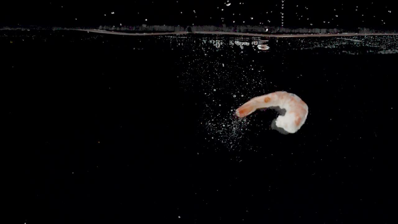 느린 동작으로 물에 떨어지는 활기찬 새우