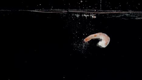 vibrant shrimp being dropped into water in slow motion